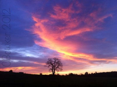 sky 21.jpg
