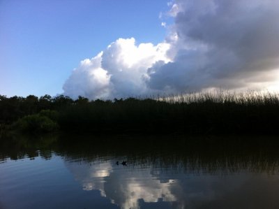 sky 31.jpg