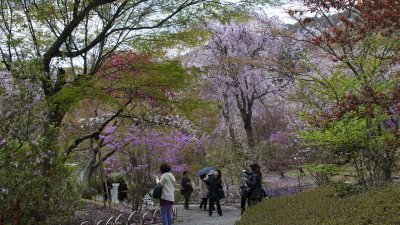 Ohkouchi Sansou Garden