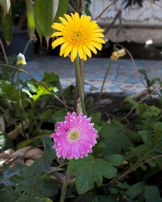 g9/39/331339/3/154656929.qhdf8xfx.jpg