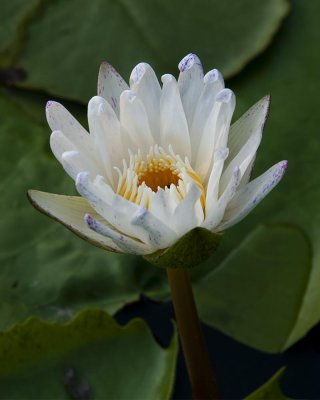 g9/39/331339/3/154714165.yohlFG7D.jpg