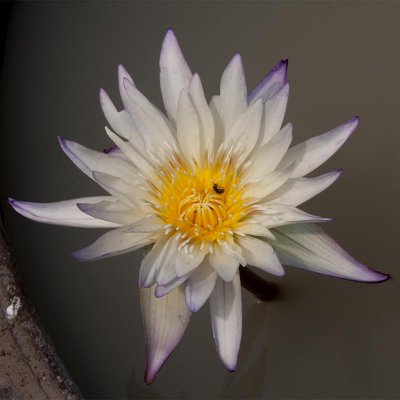 g9/39/331339/3/154759137.n8w9BxY7.jpg