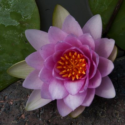g9/39/331339/3/154759141.HQLTnlD6.jpg
