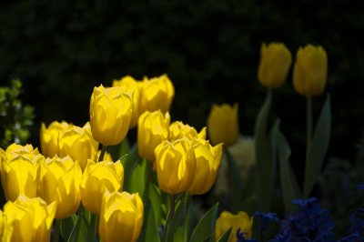 g9/39/331339/3/155488067.eIo2GX2n.jpg