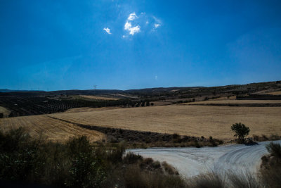 _MG_1115.jpg