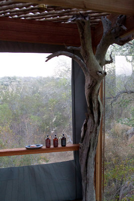 Kingston treehouse - the shower