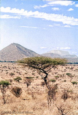 Masai plain 