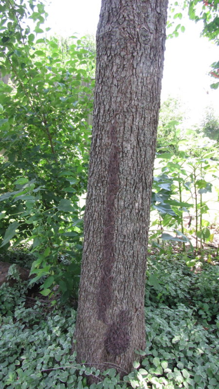 P007.jpg