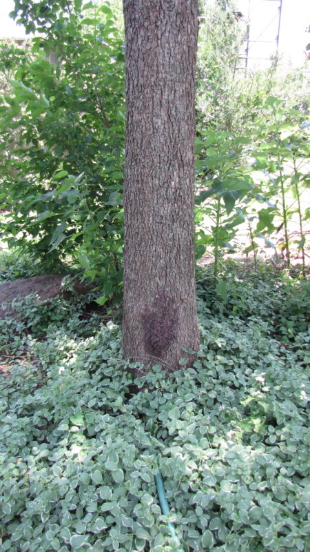 P008.jpg