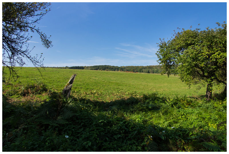 der Bergener Wanderweg