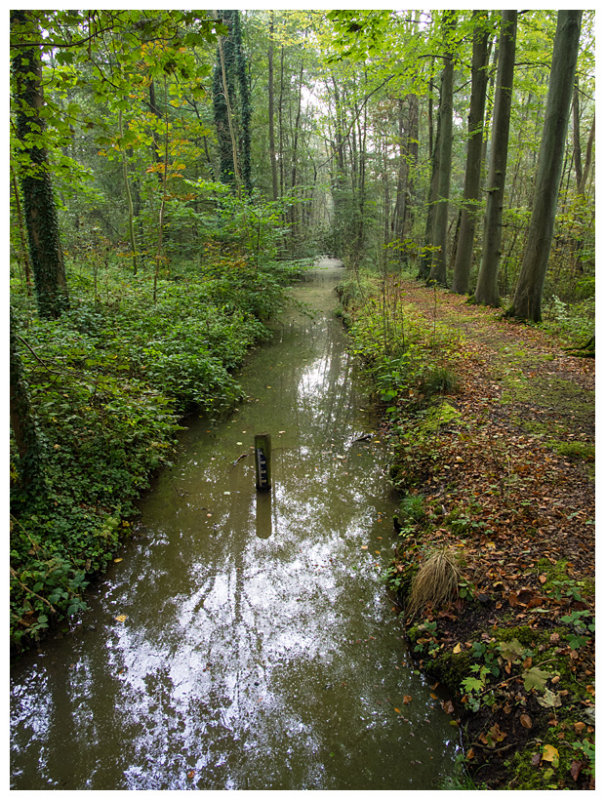 Osbroek