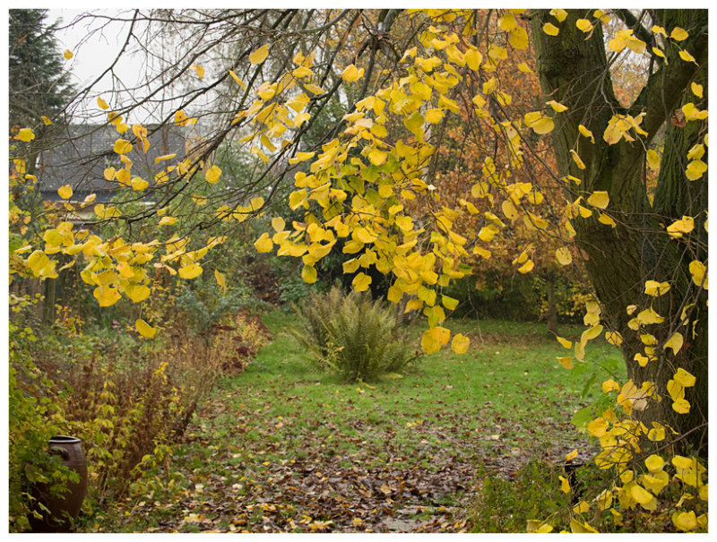 autumn colors
