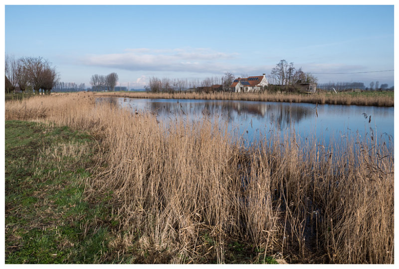 Molenkreek