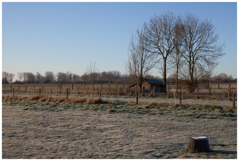 Droeskouter
