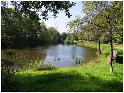 Weiher am Lannenbach