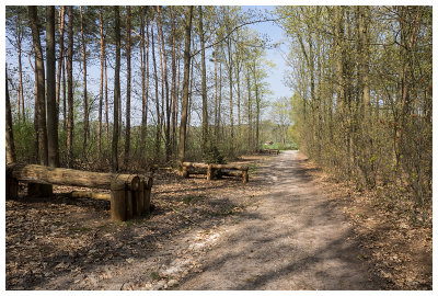 military ruiter parcours op Grote Heide