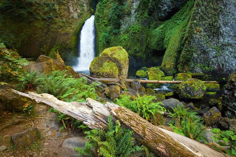 Wahclella Falls