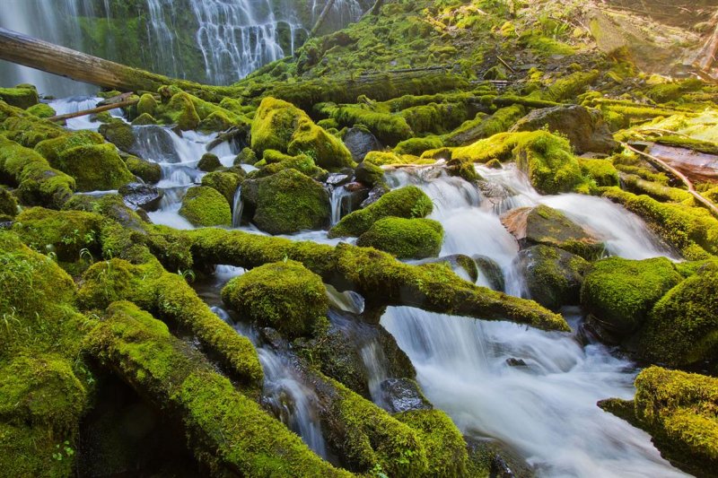 Proxy Falls