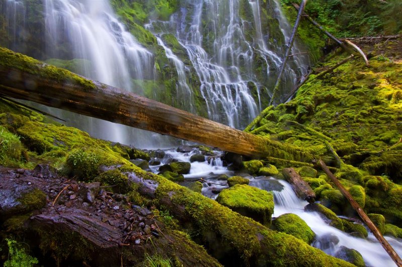 Proxy Falls
