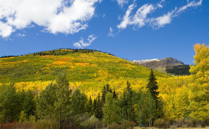 Ouray