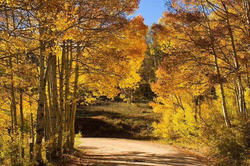Washington Gulch Road