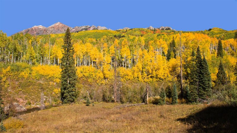 Kebler Pass