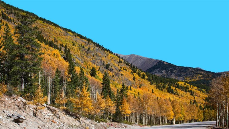 Monarch Pass