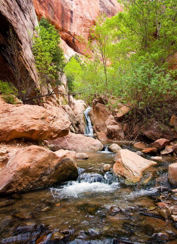 Kanarra Creek