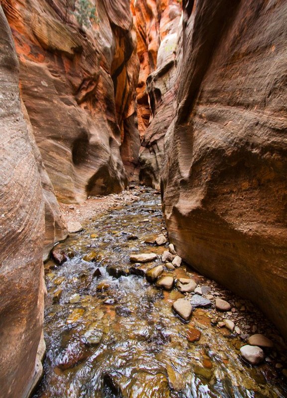 Kanarra Creek