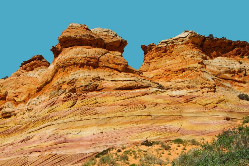 Cottonwood Cove