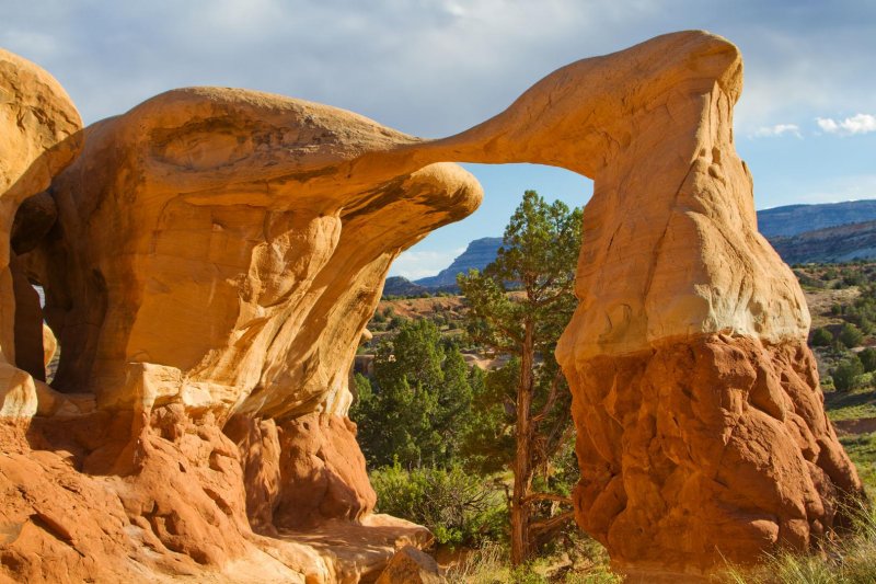 Devils Garden