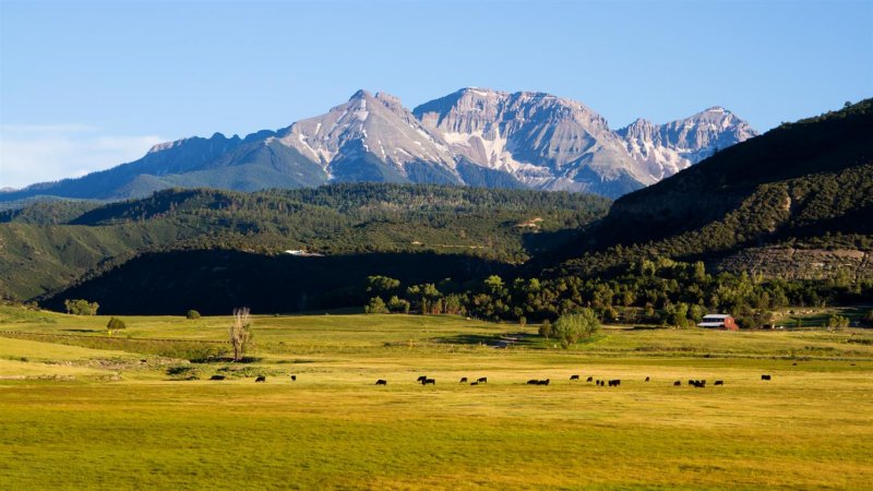 Ridgway