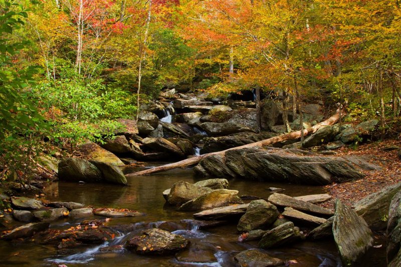 Goforth Creek