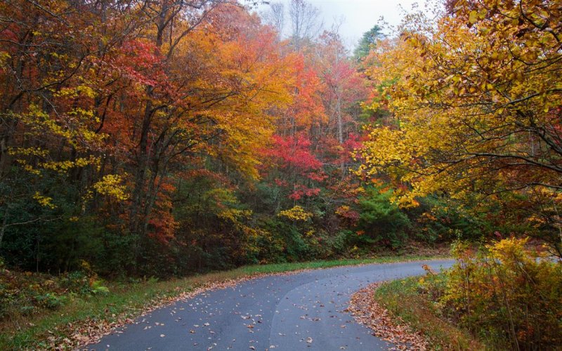 Mount Chilhowee