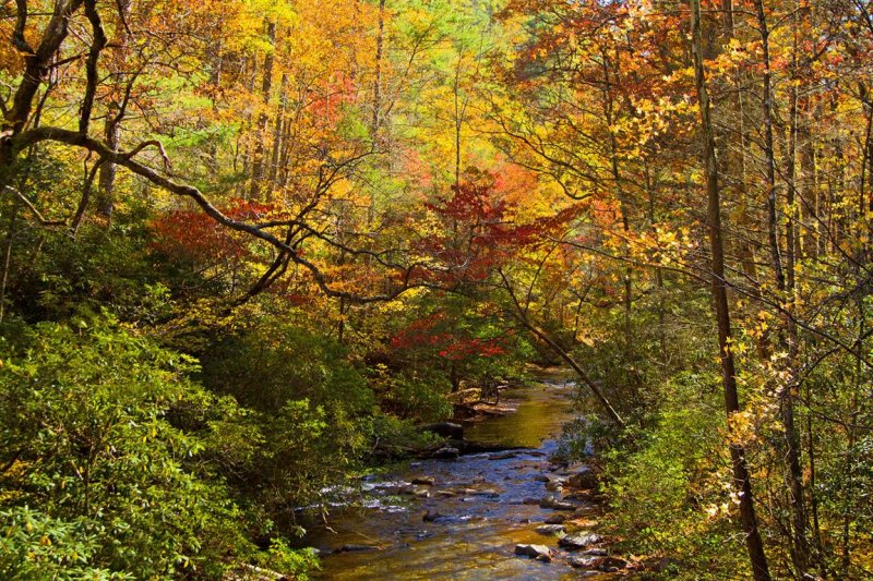 Fires Creek
