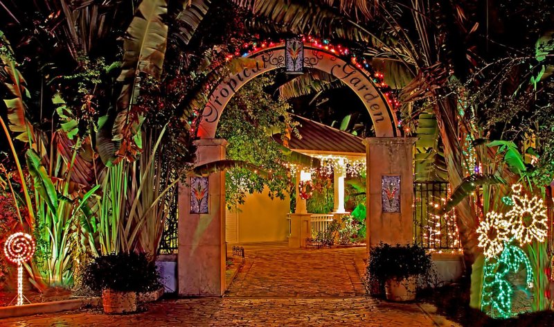 Christmas, Botanical Garden