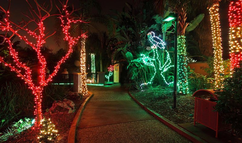 Christmas, Botanical Garden