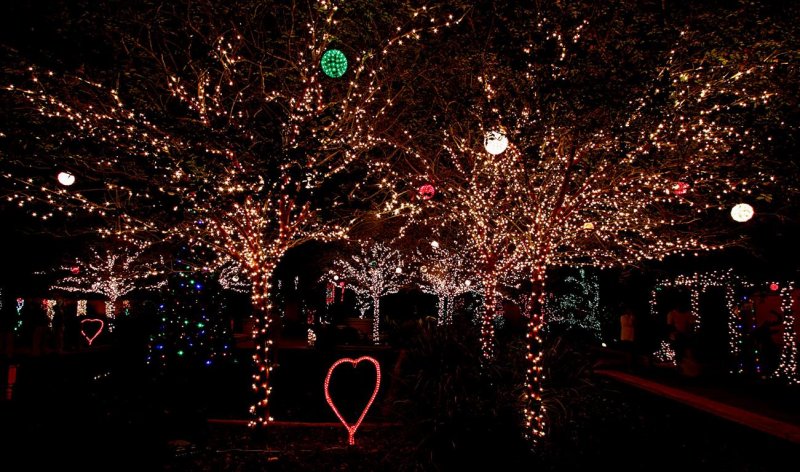 Christmas, Botanical Garden