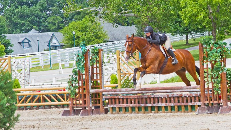 Kentucky Horse Park