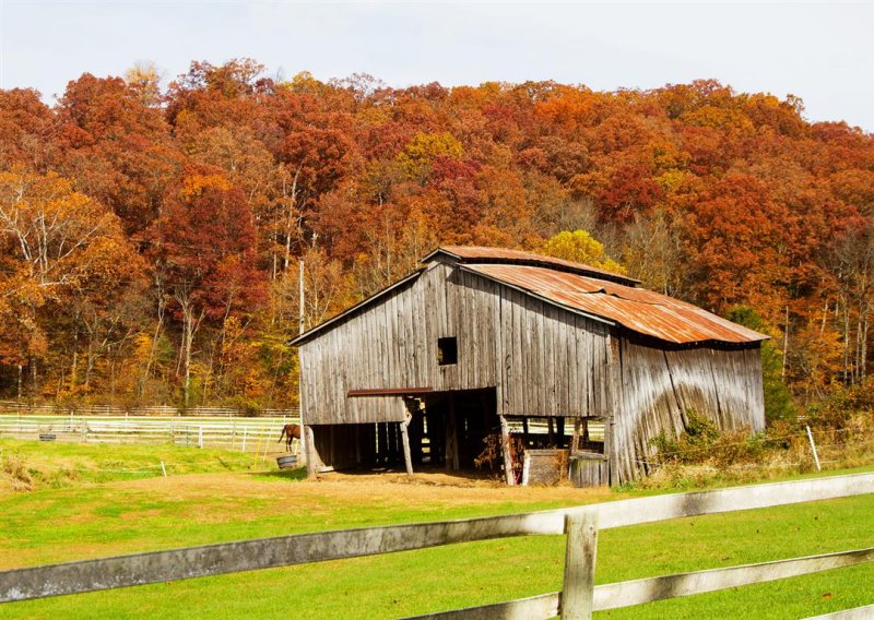 Farm, Route 135
