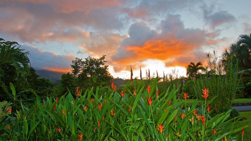 Arenal Springs Resort 