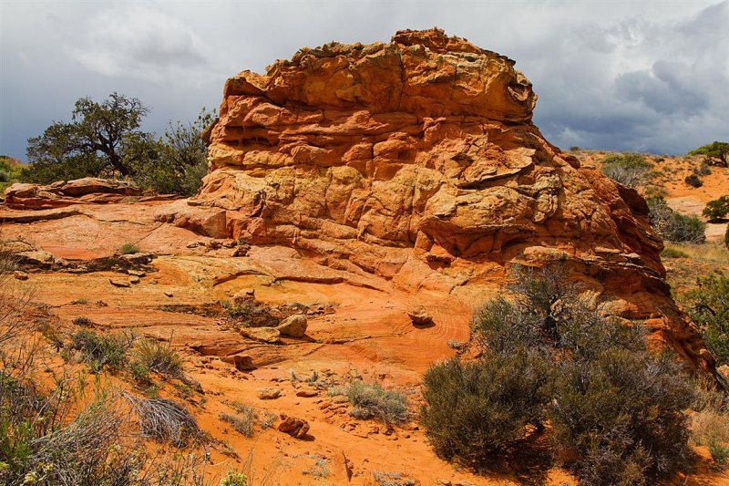 Cottonwood Cove