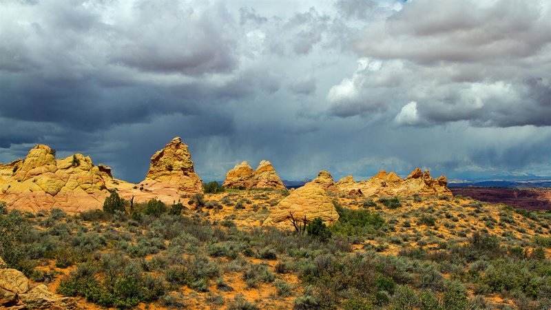 Cottonwood Cove