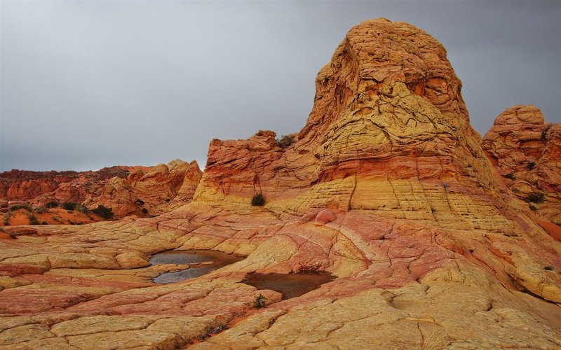 Cottonwood Cove