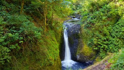 Oneonta Falls