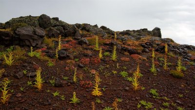 Steens Mountain