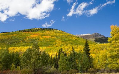 Ouray