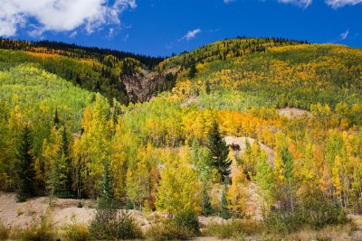 Ouray