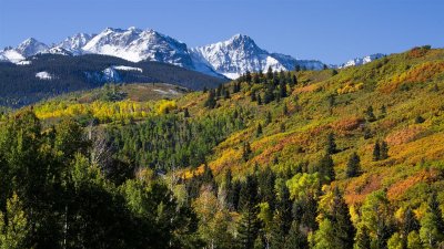 Dallas Divide