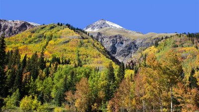 Ouray